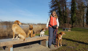 Hunde-Verhaltenstraining I va bene Hundeservice I Hohen-Neuendorf