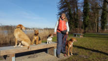 Va Bene-Hundeservice I  Frohnau