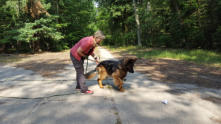 Va Bene-Hundeservice I  Oberhavel